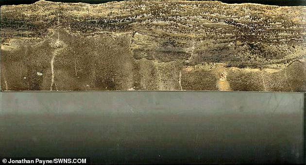 �ڶ��B�oĩ����������ȱ�����ߜ��{�ȡ������߀���ж����W���|�����˺��������^���ƌW�Ҍ���߀�]�ж�Փ��