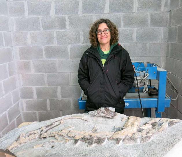 ���E�W(xu��)�҄�����ƤŬҮ����ʿ