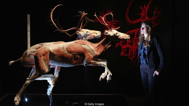 �������һ����N�Ĵ��m(x��)�r�g�ܱ��������������L����