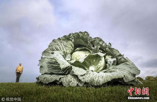 �Y�ψD�����;��Ĳ���