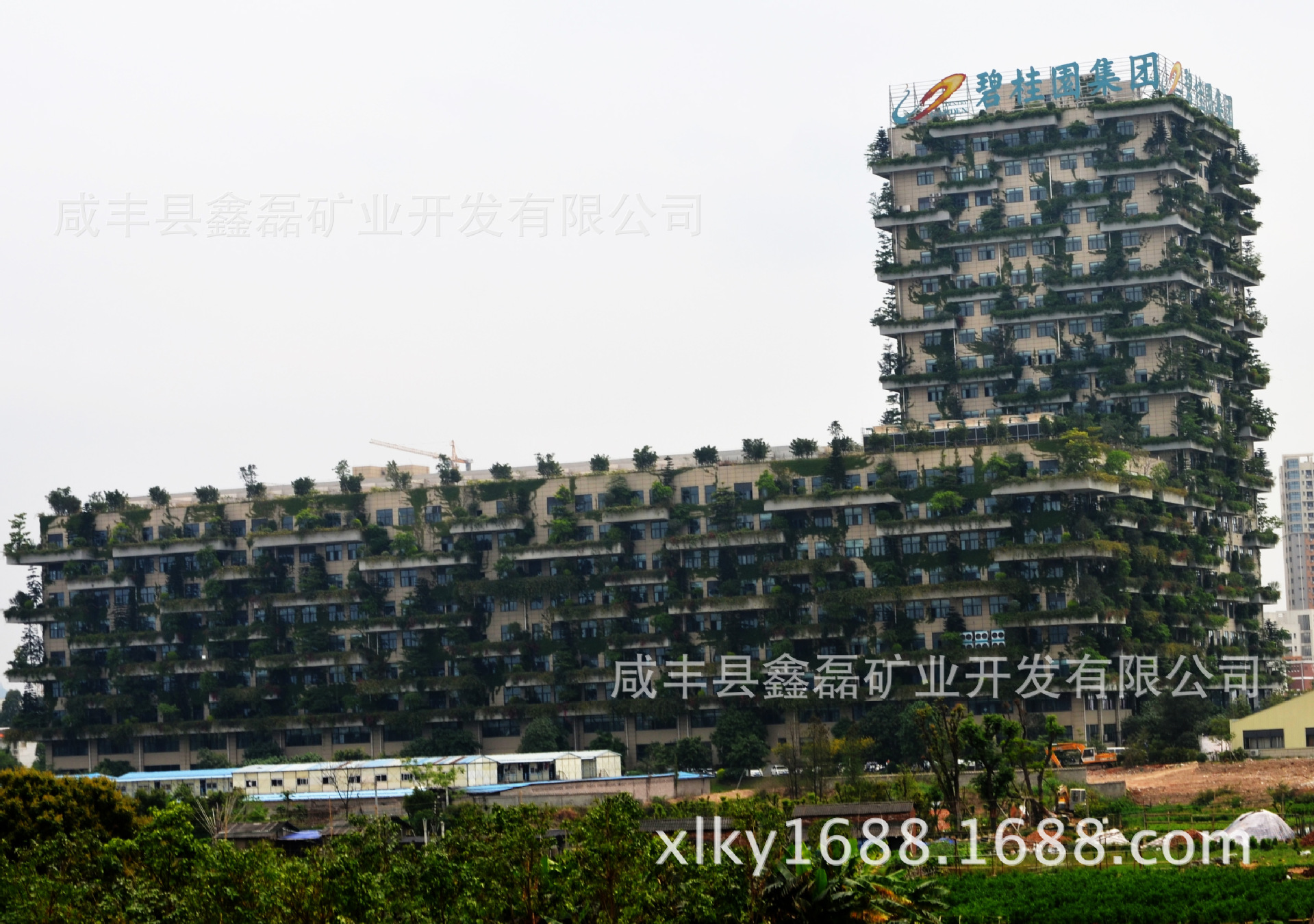 �����еVɽ�� �Ļ����� ���� ˇ�g(sh��)�b�� �������S ��Ʒʯ��