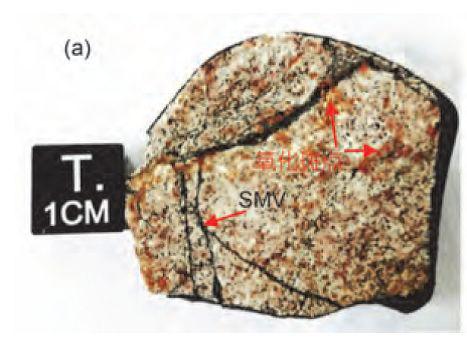 �D5.�����Eʯ�֘�(bi��o)����Ƭ���tɫ��ʾ�������c(di��n)��SMV��ʾ��ɫ�_�����}������Ӌ(j��)��������2019��