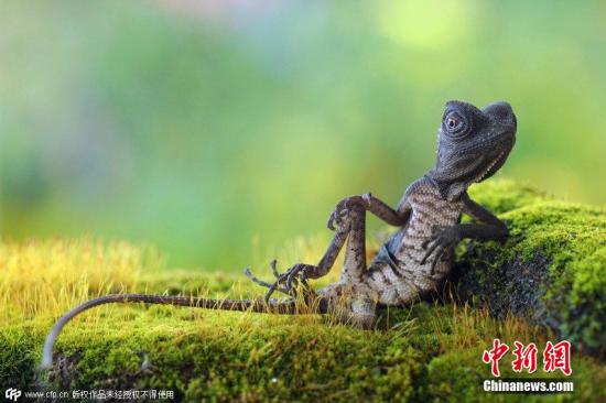 �Y�ψD��������