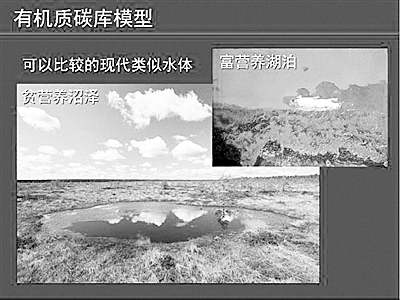 ����ƌW(xu��)���������ģ������(du��)5�|��ǰ�������������o�����µĽ����