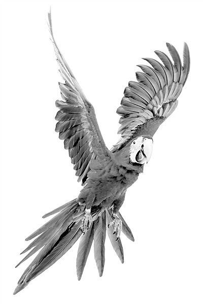 ����������ݻ����B����ƌW(xu��)�҂�߀�ڌ������