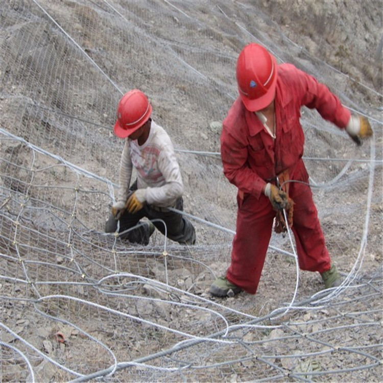 ������ �Vɽ��(f��)�G߅�·��o(h��)�W(w��ng) ɽ�w߅�·��o(h��)�W(w��ng) ���̵̉η��o(h��)�����F�z�W(w��ng)