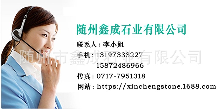 13197333227֥���10131