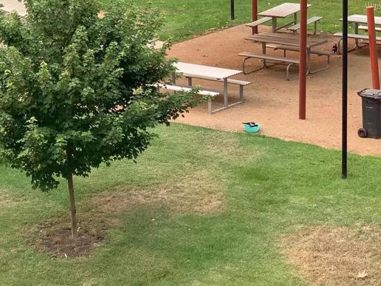 �DƬ�� Calo �ṩ