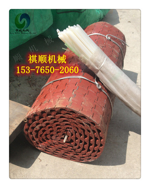 甲帶008.jpg 甲帶008.jpg