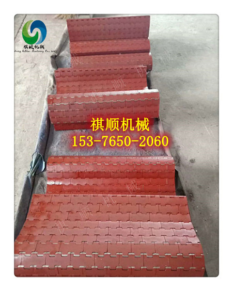 甲帶040.jpg 甲帶040.jpg